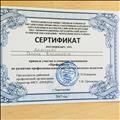 Сертификат участника Школа молодого педагога Сертификат участника Школа молодого педагога